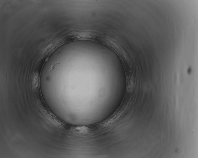 X0000094380478200711242026