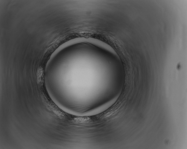 X0000094380480200711242026