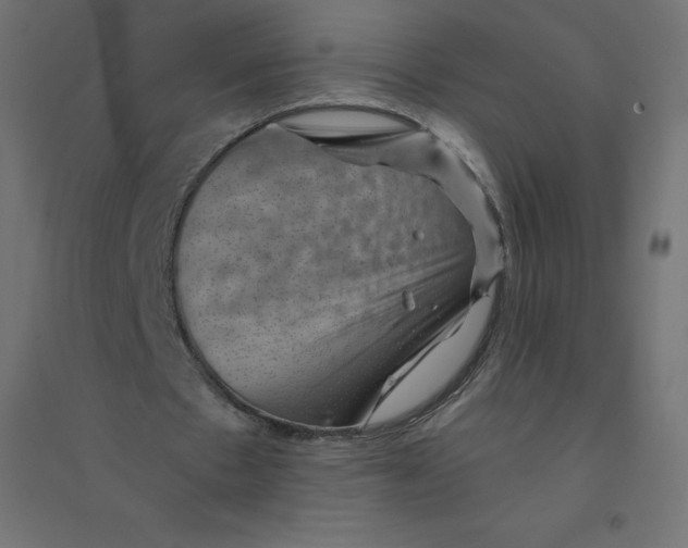 X0000094380481200711242025