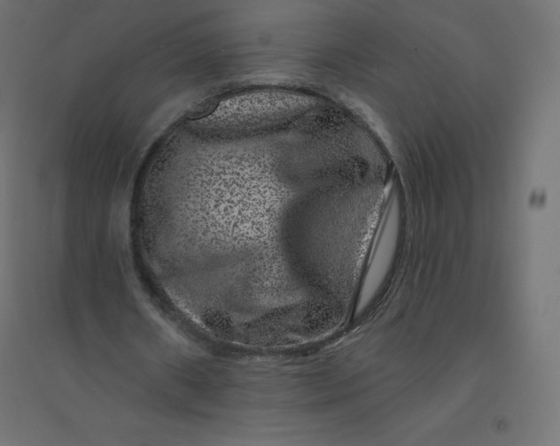 X0000094380482200711242025