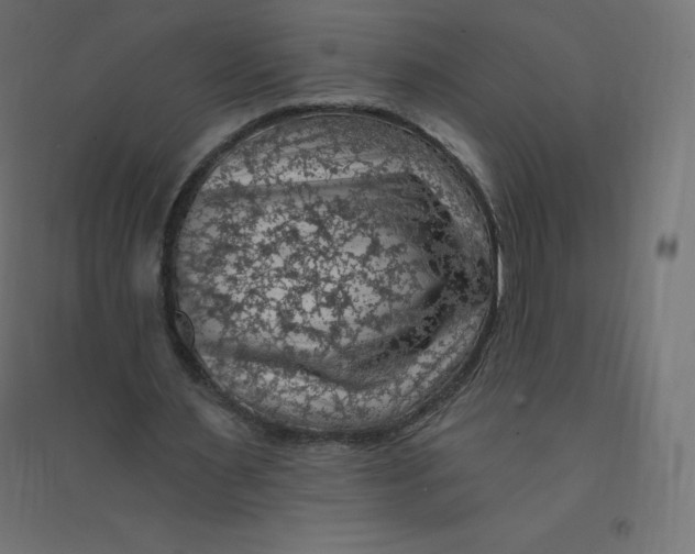 X0000094380483200711242025