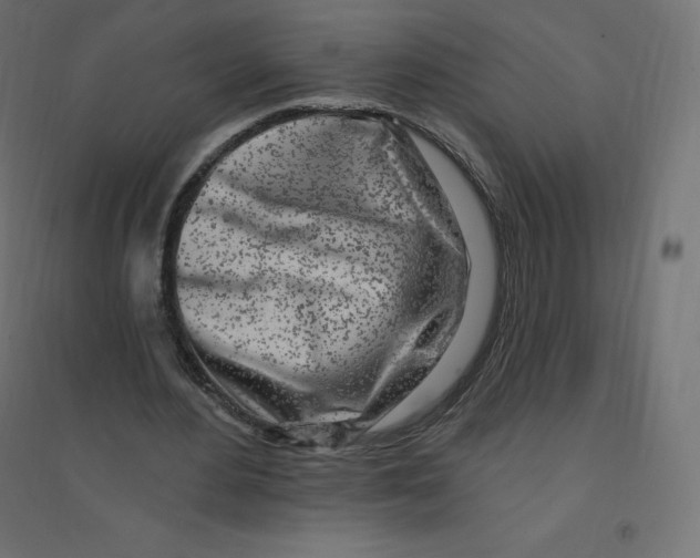 X0000094380484200711242025