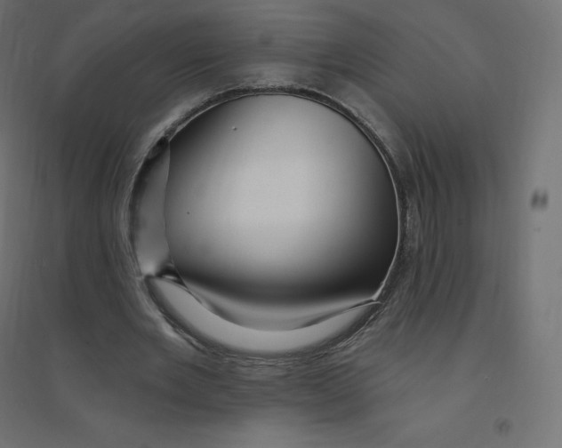 X0000094380485200711242025