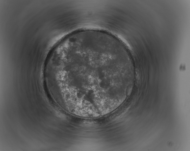 X0000094380487200711242025