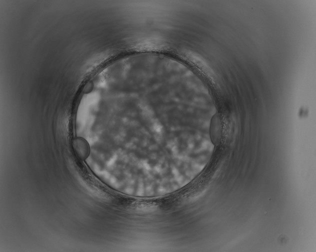 X0000094380491200711242025