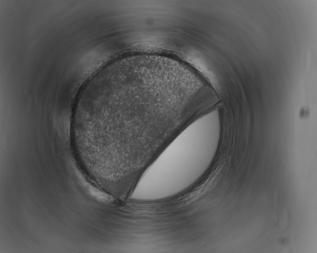 X0000094380493200711242025