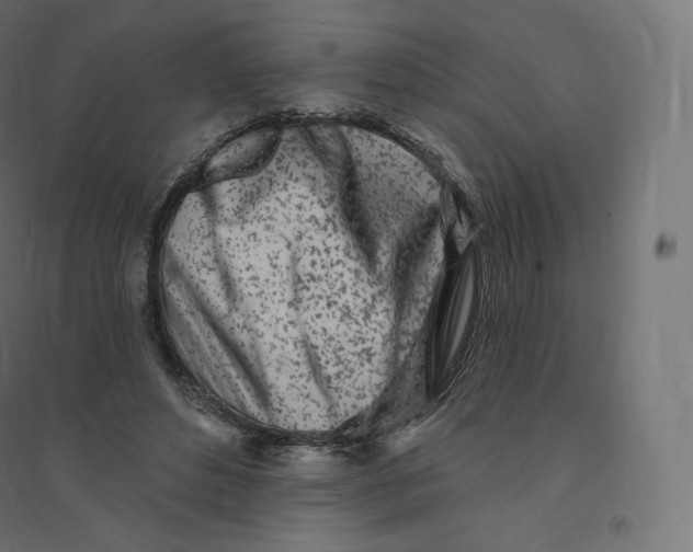 X0000094380496200711242025