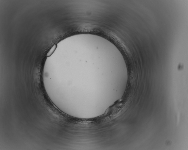 X0000094380497200711242025