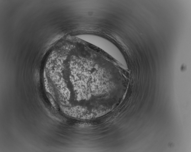 X0000094380500200711242025