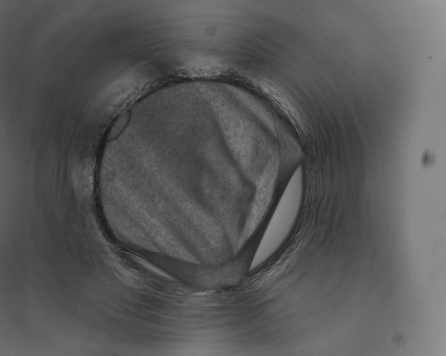 X0000094380501200711242025