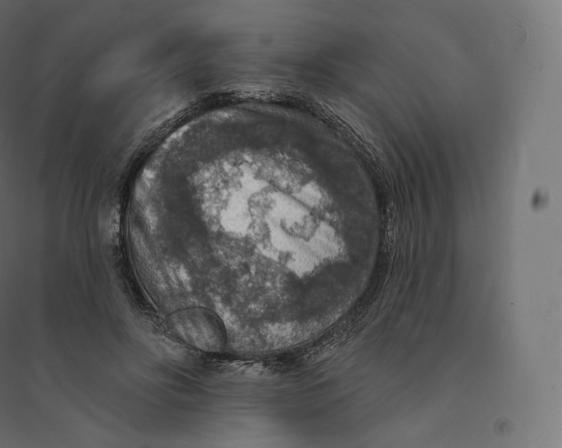 X0000094380502200711242025