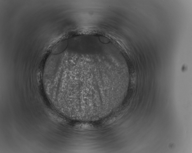X0000094380503200711242025