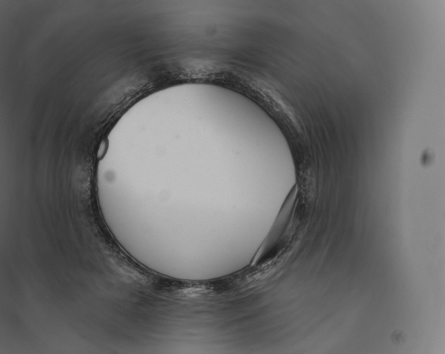 X0000094380505200711242025