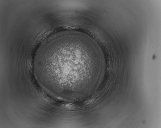 X0000094380506200711242025