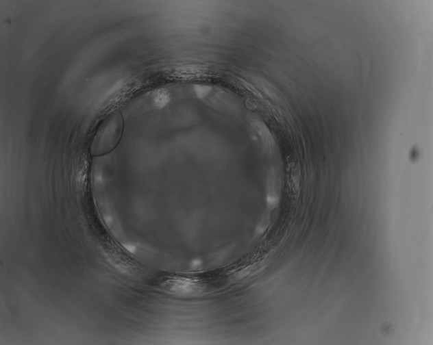 X0000094380507200711242025