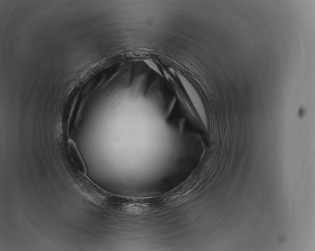 X0000094380508200711242025