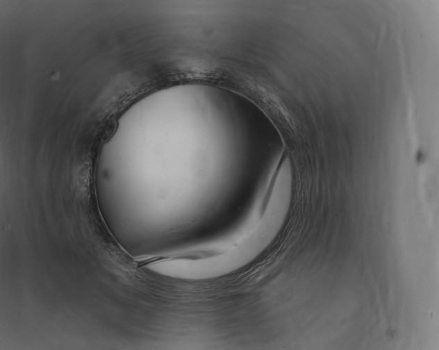 X0000094380509200711242025