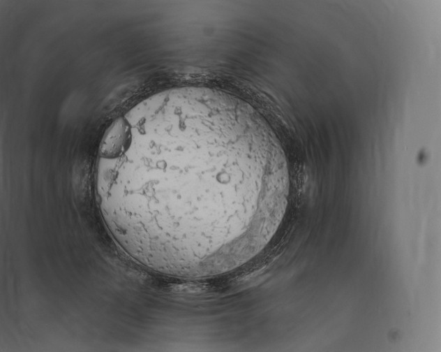 X0000094380511200711242025