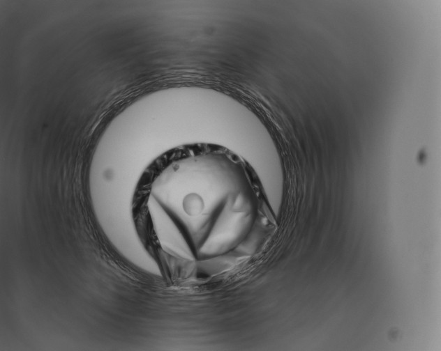 X0000094380516200711242025