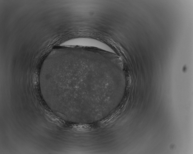X0000094380517200711242025