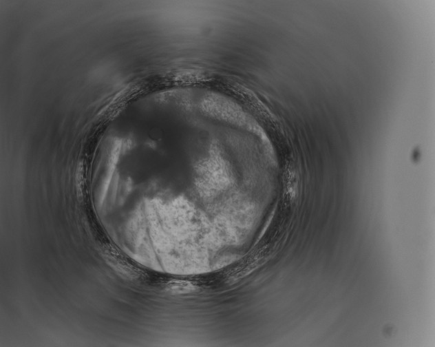 X0000094380519200711242025