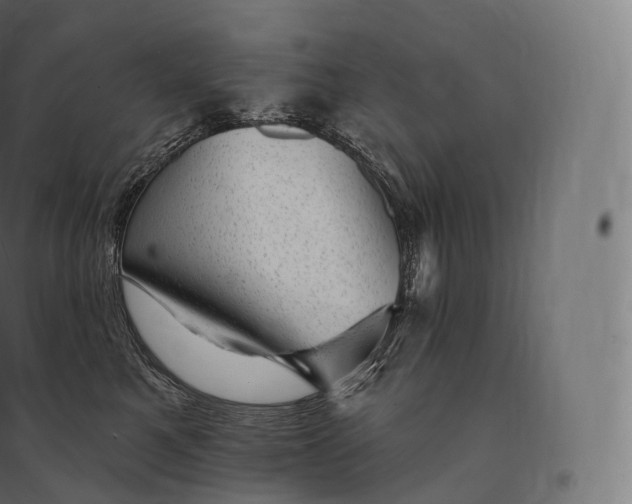 X0000094380521200711242025
