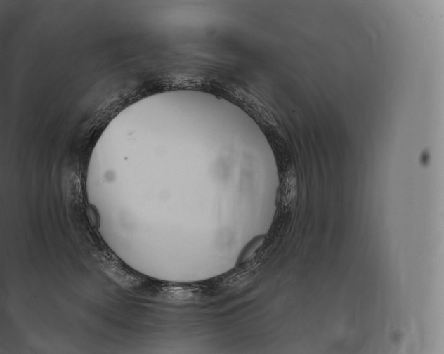 X0000094380522200711242025