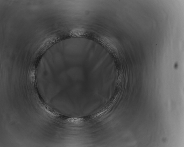 X0000094380526200711242025