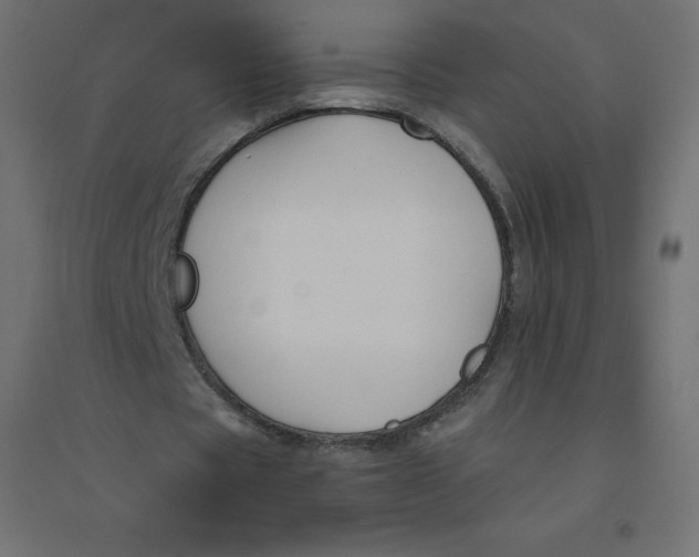 X0000094380529200711242024