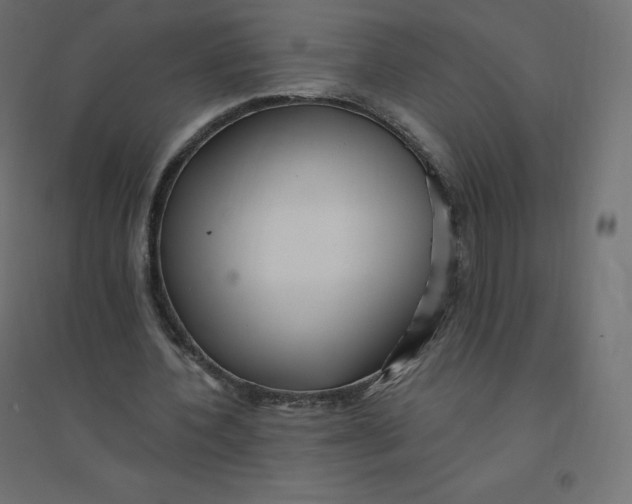 X0000094380532200711242024