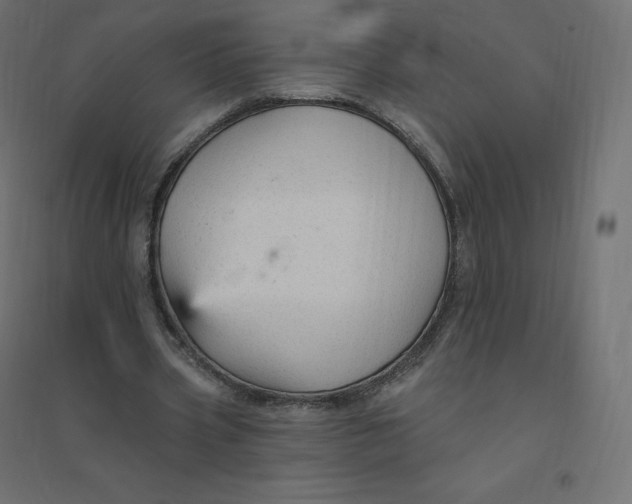 X0000094380533200711242024