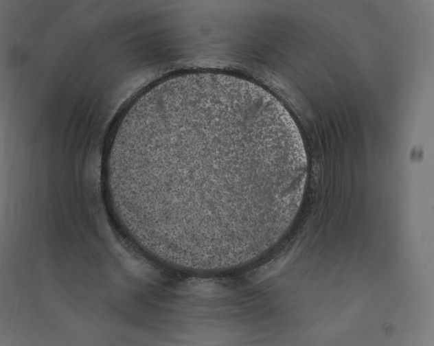 X0000094380534200711242024