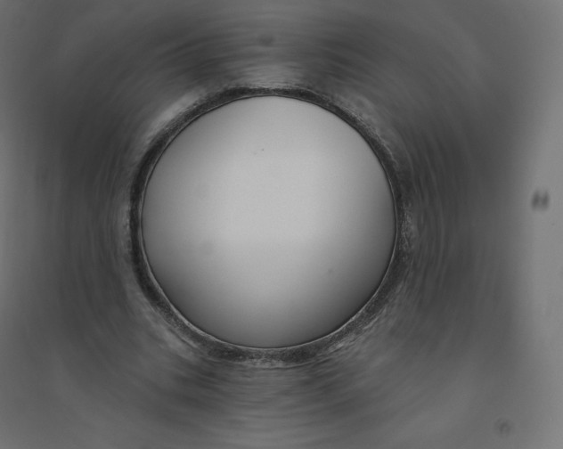X0000094380535200711242024