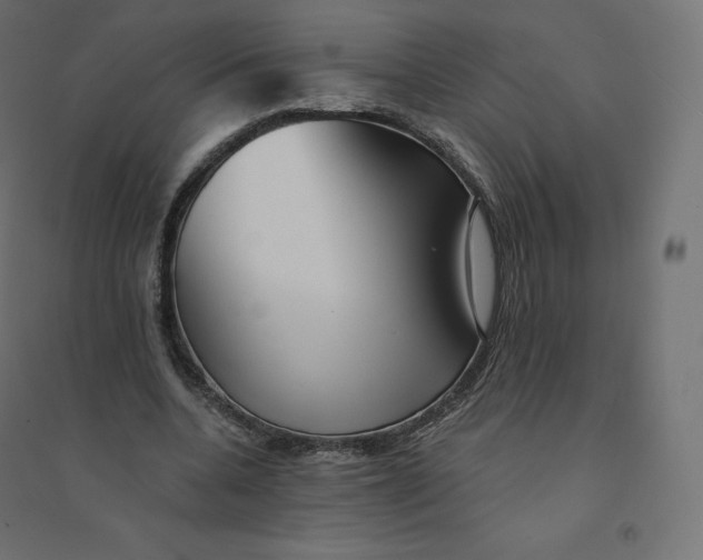 X0000094380536200711242024