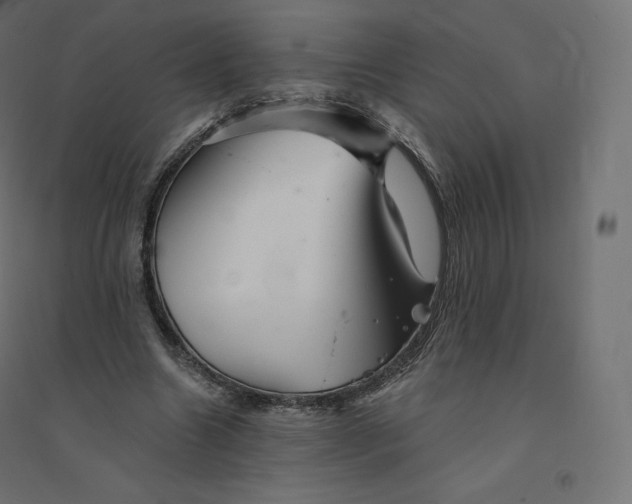 X0000094380538200711242024