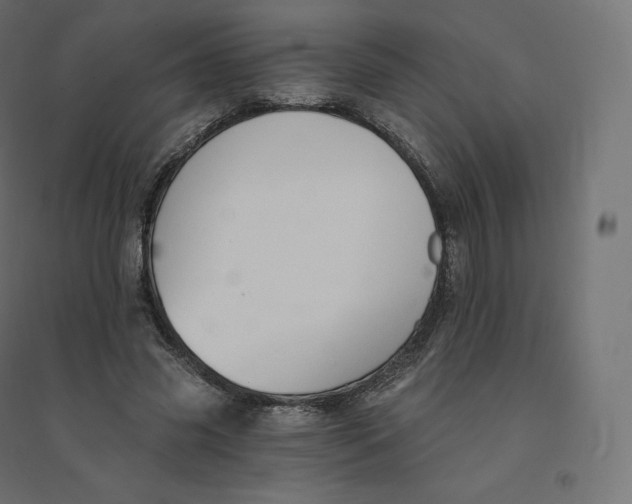 X0000094380541200711242024