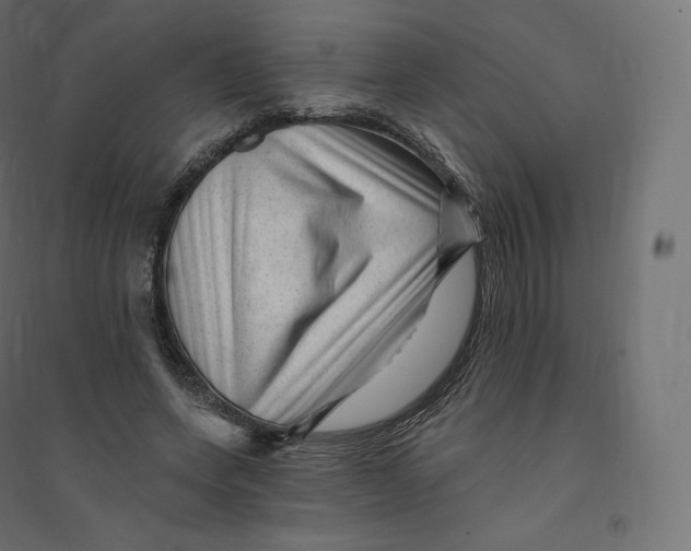 X0000094380543200711242024