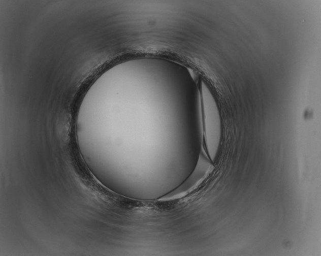 X0000094380544200711242024