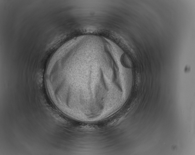 X0000094380545200711242024