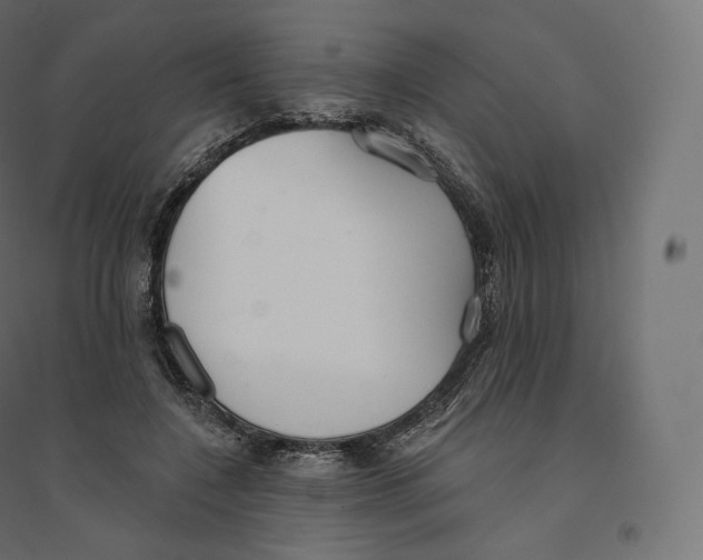 X0000094380548200711242024