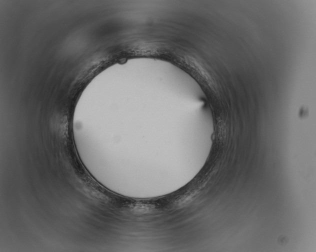 X0000094380549200711242024