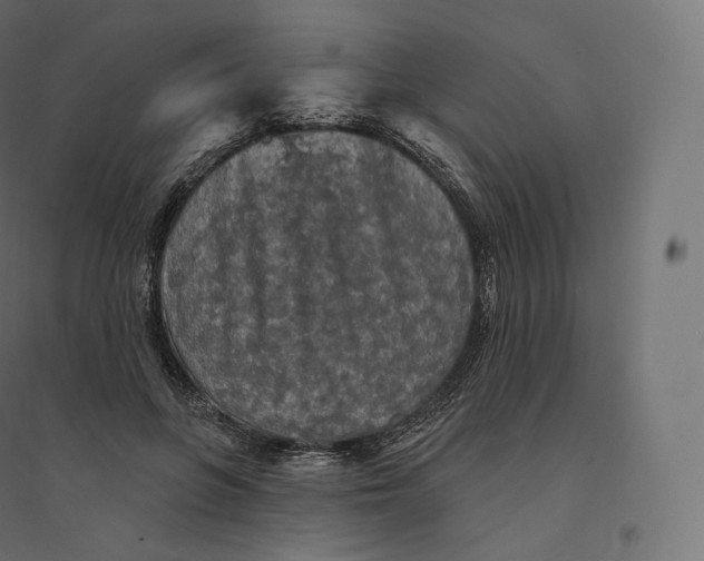 X0000094380551200711242024