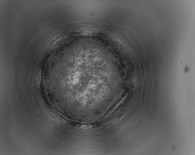 X0000094380554200711242024