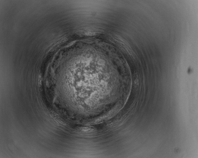X0000094380555200711242024