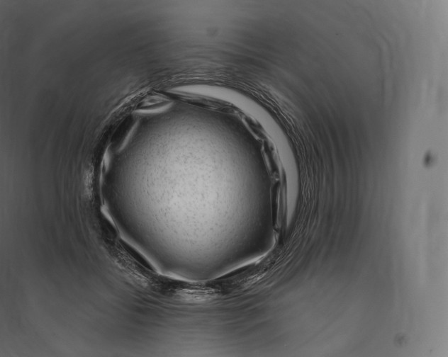 X0000094380556200711242024