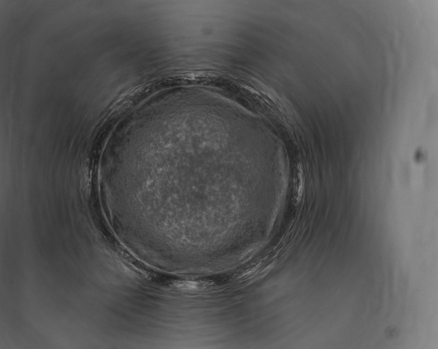 X0000094380558200711242025