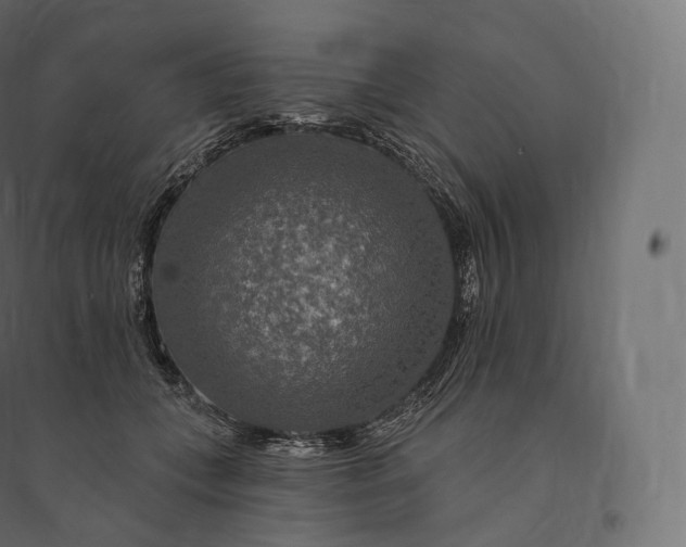 X0000094380559200711242025