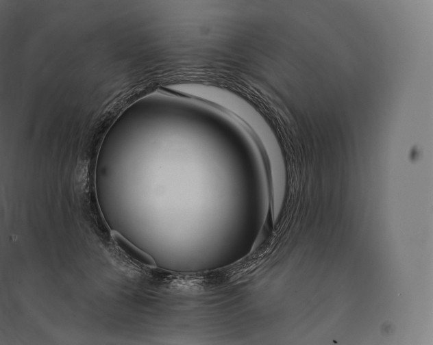 X0000094380560200711242025