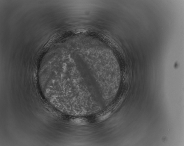 X0000094380561200711242025