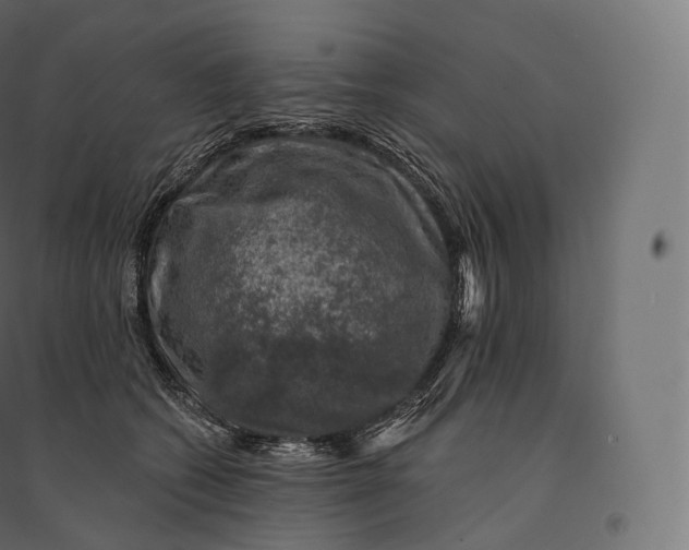 X0000094380562200711242025